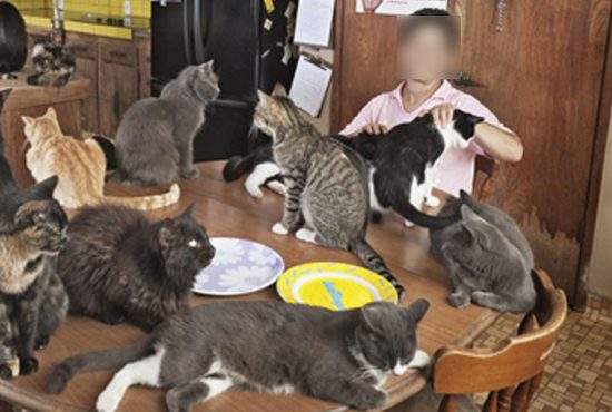 Femeia care avea 30 de pisici în garsonieră s-a mutat la 2 camere ca să ia şi câini