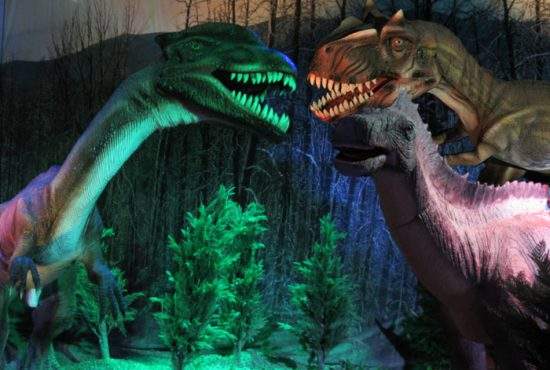 A fost descoperit un dinozaur cu nume ridicol, de care râdeau toţi ceilalţi dinozauri!
