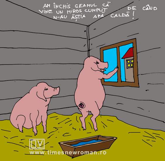 Animale sensibile