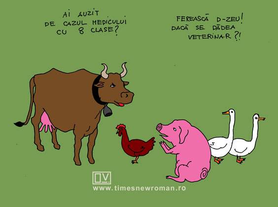 Animale speriate