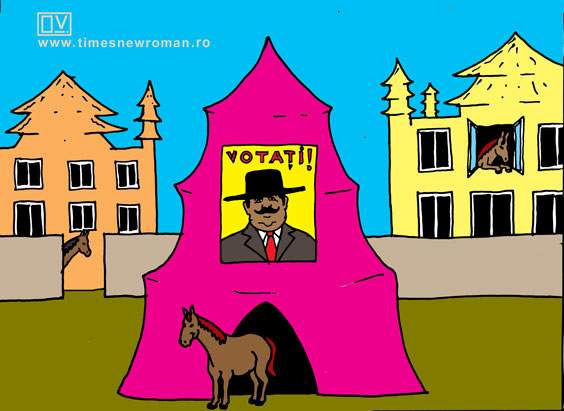 Cort electoral în Strehaia