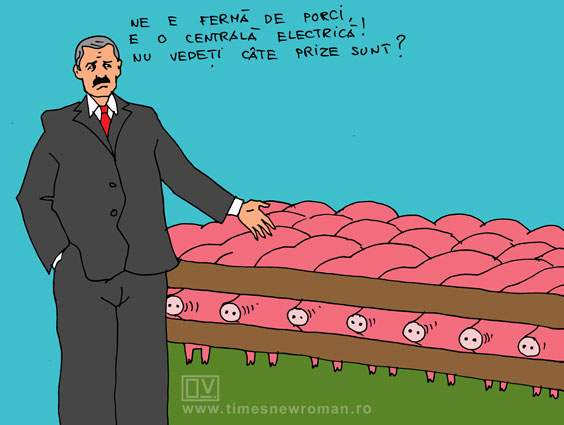 Ferma lui Dragnea