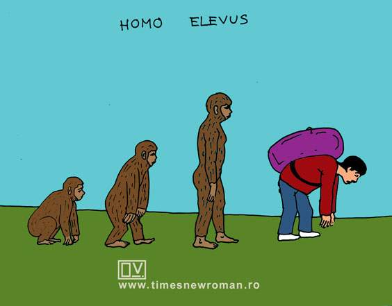 Homo elevus