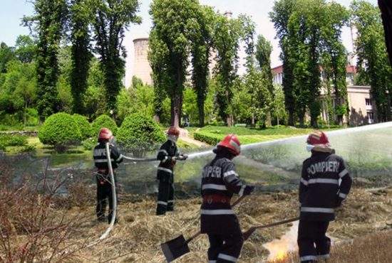 Incendiu de mirişte într-o seră din Grădina Botanică!
