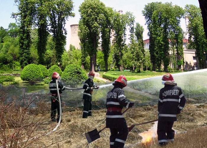Incendiu de mirişte într-o seră din Grădina Botanică!