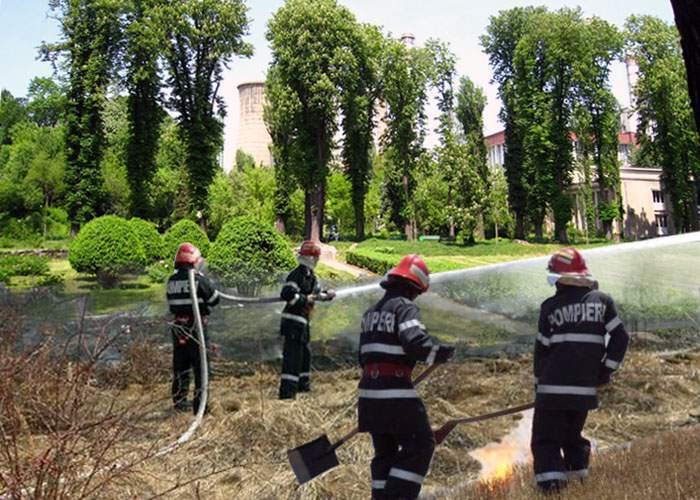 Incendiu de mirişte într-o seră din Grădina Botanică!