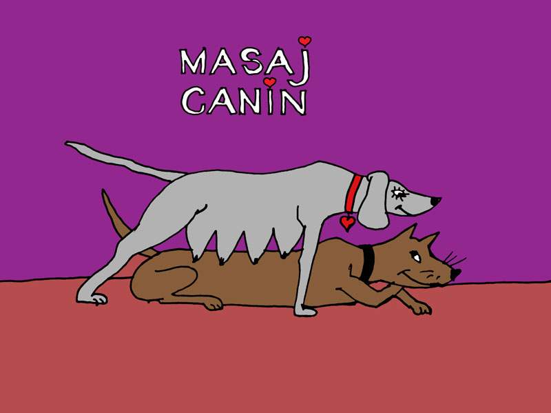 Masaj canin