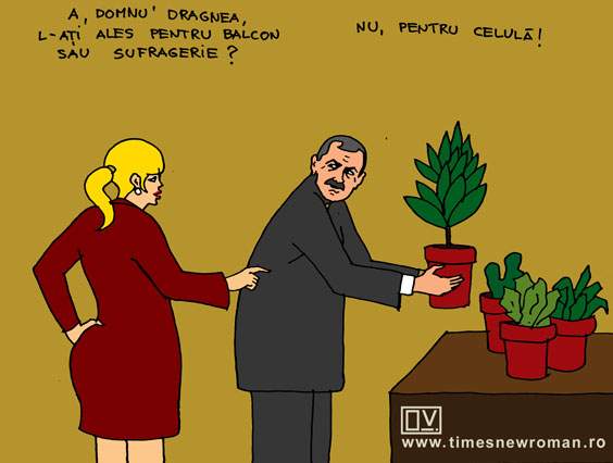 Pregătirile lui Dragnea