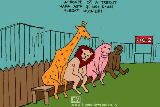 Regrete la zoo