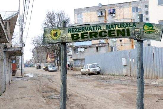 Pentru a proteja maidanezii, Piedone va declara sectorul 4 rezervaţie naturală!