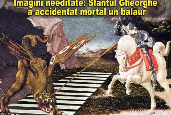 Sfântul Gheorghe a accidentat mortal un balaur care traversa regulamentar