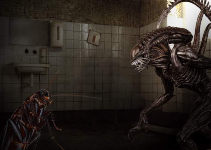 Rază de speranţă pentru Sănătate: ALIEN Vs. Predator 3 se filmează la Spitalul Judeţean Ploieşti