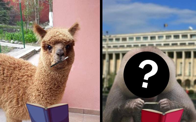 Unde s-a ajuns! După alpaca lui Godină, acum vrea și-un pavian cu mantie să scoată o carte