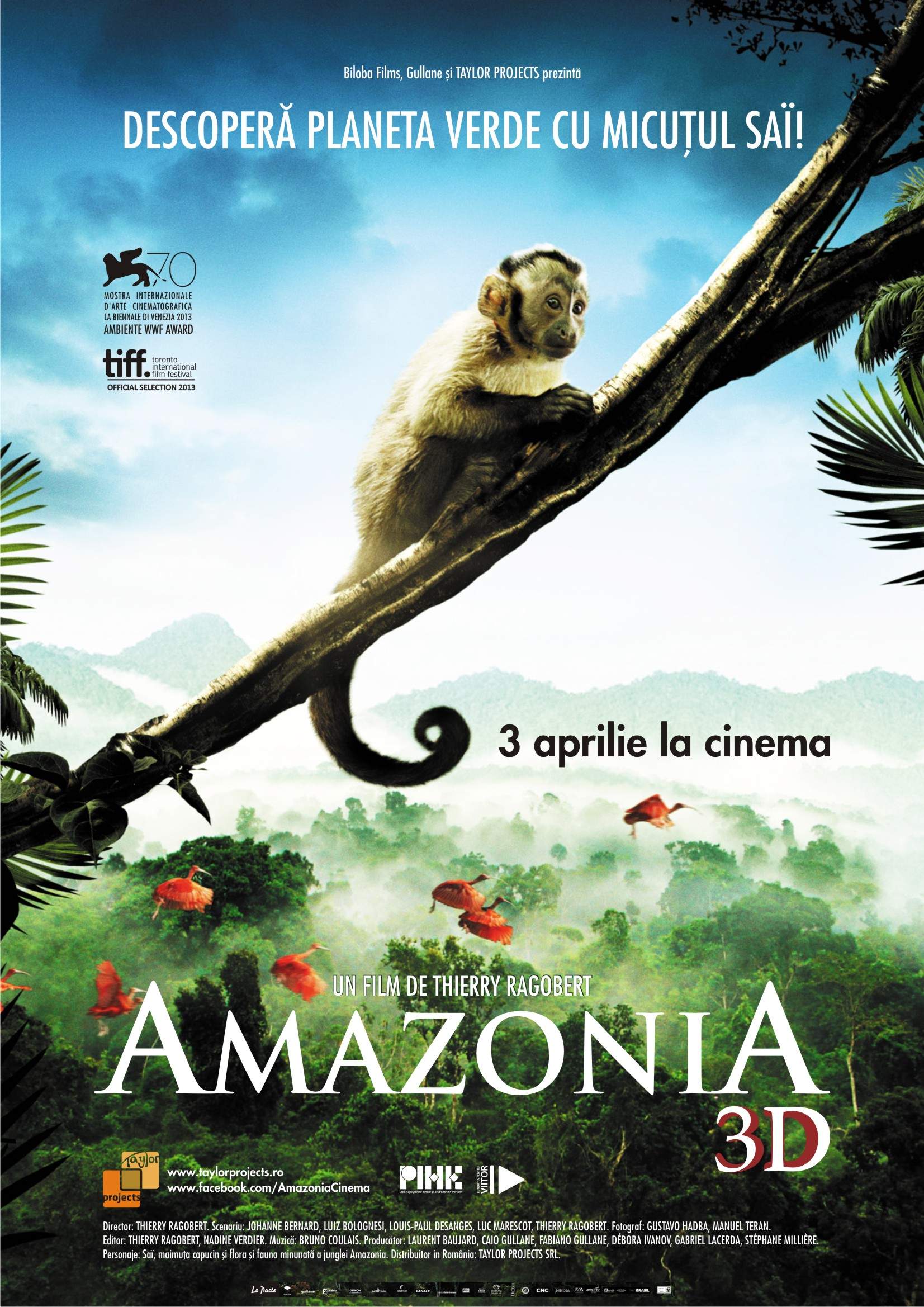 Amazonia 3D (2013) – Welcome to the jungle