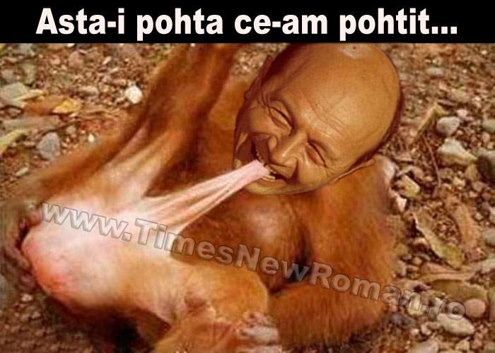 Ce credeţi că ar merita Băsescu, după ce i-a convins pe români că îi conduce un prost?