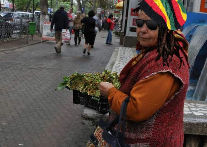 O băbuţă a renunţat la pătrunjel şi acum vinde marijuana, că sunt amenzile mai mici