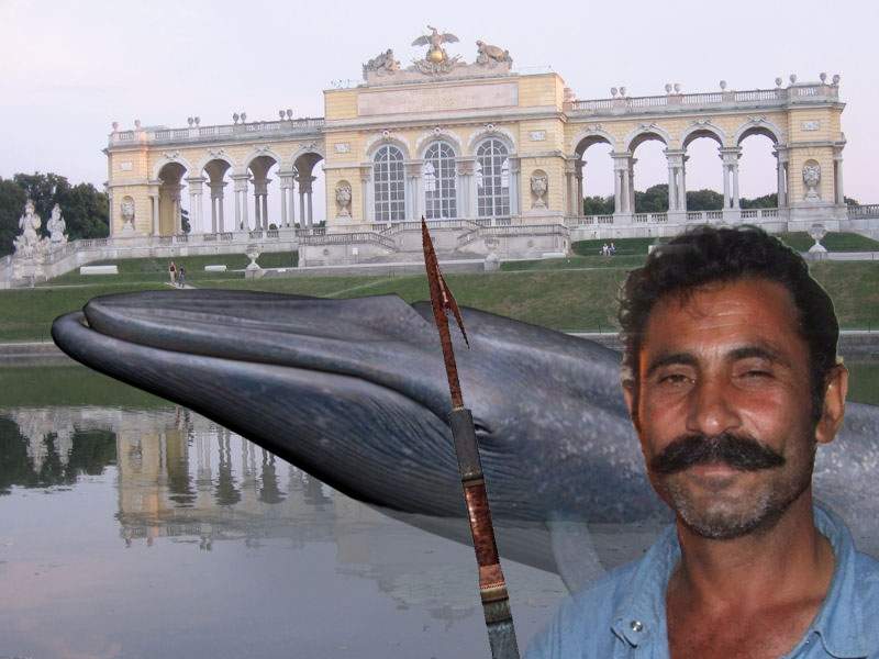 Ştirile false continuă! Ţiganii din România, acuzaţi că au mâncat balena albastră dintr-un lac din Viena
