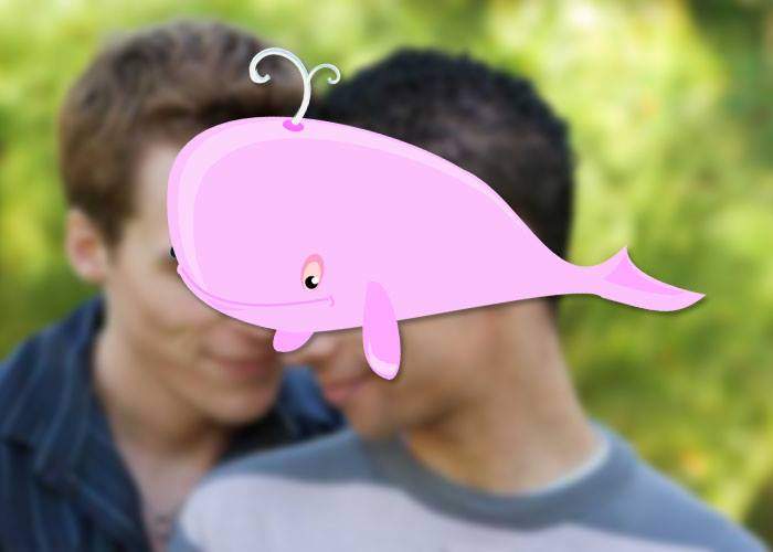 Ce balenă albastră? Coaliția pentru Familie avertizează că a apărut Balena roz, un joc care-i face pe tineri gay