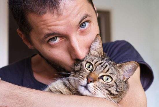 Bărbații care au pisici vor primi consiliere psihologică gratuită