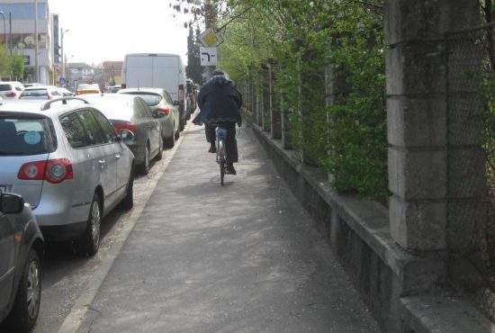 Studiu! Cel mai prost animal al planetei e biciclistul care claxonează pietonii pe trotuar