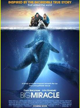 Big Miracle – Victime XXL!!!