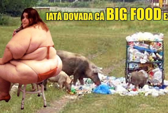 Dovada! Big Food există!