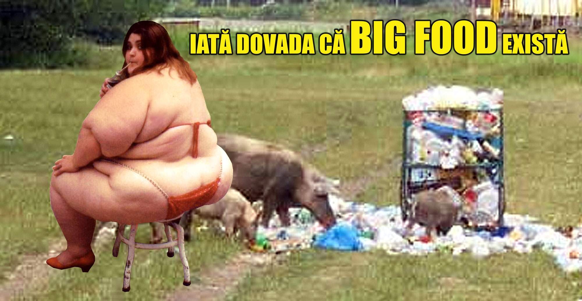 Dovada! Big Food există!