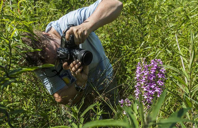 O specie nouă de floare a fost numită Ion, ca să dea jumătate din români de băut azi