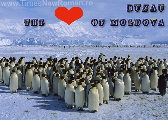buzau_moldova vedere turistica.jpg