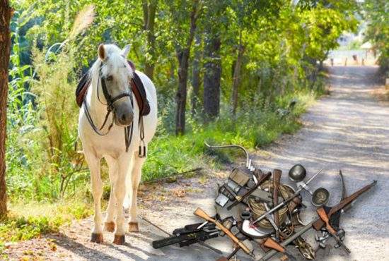 Pistoalele, pumnalele, caii şi flintele haiducilor, găsite într-o pădure din Ilfov