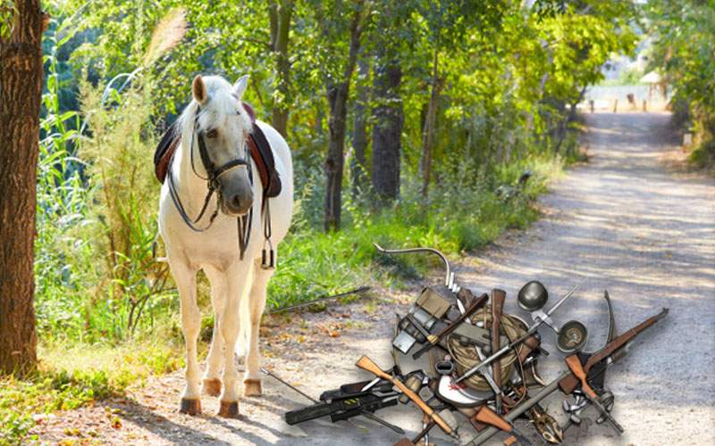 Pistoalele, pumnalele, caii şi flintele haiducilor, găsite într-o pădure din Ilfov