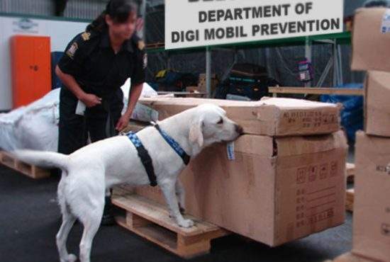 Măsuri dure! Vameşii din Belgravistan vor avea câini dresaţi să miroasă abonamente Digi Mobil