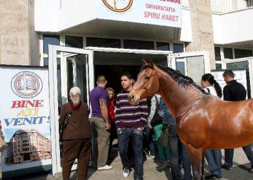 Diversitate! De anul acesta, la Universitatea Spiru Haret se vor putea înscrie și animale