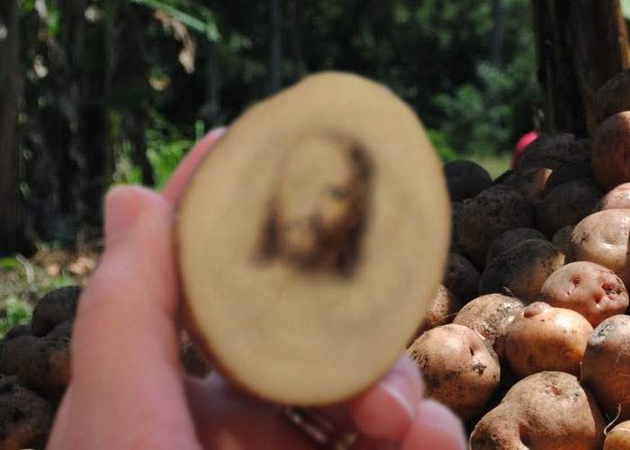 Un ţăran a devenit miliardar după ce a cultivat un lan întreg de cartofi cu chipul lui Iisus