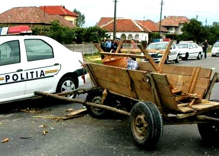 Pentru a reduce accidentele din judeţ, caii din Teleorman vor trebui să obţină permis auto