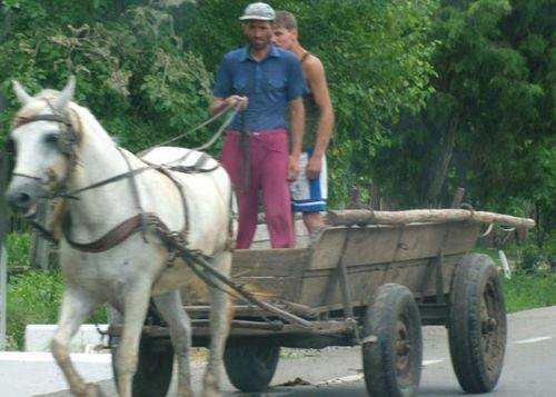 Oprescu vrea un nou record! Bucureştiul, capitala din UE cu cele mai multe căruţe pe cap de locuitor