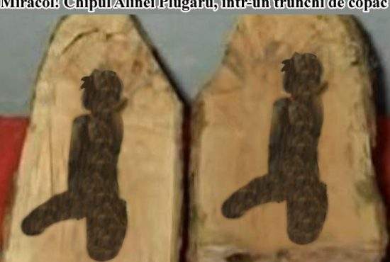 Miracol! Un credincios a găsit chipul Alinei Plugaru într-un trunchi de copac