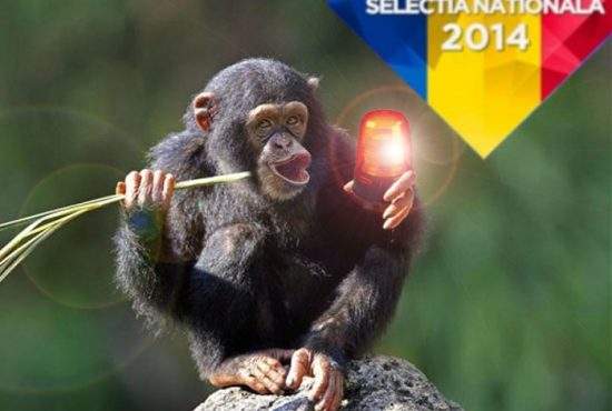 România plusează! Anul acesta vom trimite la Eurovision un cimpanzeu cu girofar