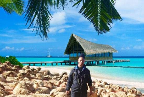 Adio, zăpadă! Cu banii de la Vodafone, ciobanul Ghiță a plecat cu tot cu oi în Bahamas