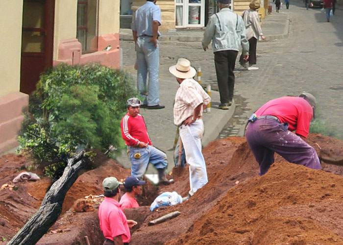 Oprescu: Copacii care împânzesc Capitala vor fi mutaţi în subteran, ca să nu mai cadă pe case