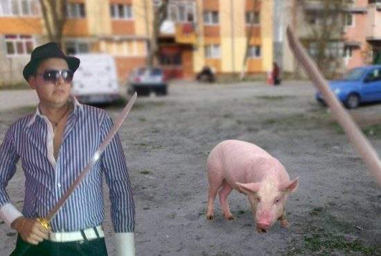 Decembrie e luna în care în Craiova săbiile ninja se folosesc mai mult pe porci decât pe oameni