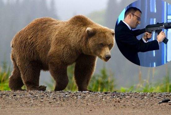 Cumpănaşu, sodomizat de un urs, după ce a încercat să-l vâneze cu arma de airsoft