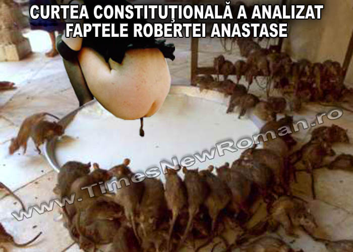 curtea_constitutionala_in_cazul_anastase