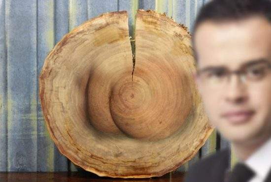 Miracol în Băneasa! Fesele lui Voiculescu au apărut într-un trunchi de copac!