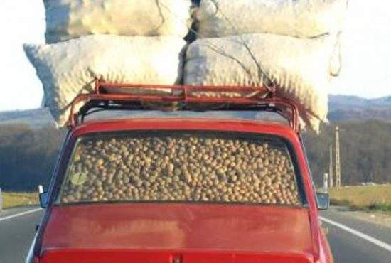 Record! Un român şi-a încărcat Dacia 1310 cu 400 de tone de cartofi, porci şi baloţi de fân