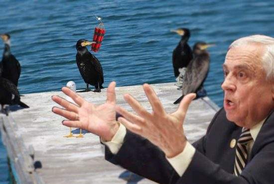 Nu-i mai satură Dumnezeu! Au fost prinşi cormorani care pescuiau cu dinamită!