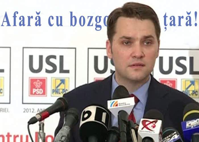 Dan Şova cere ca urşii care atacă oameni să fie mutaţi în Harghita şi Covasna