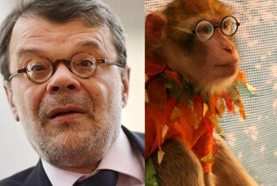 Maimuţica Jimmy în pericol? Daniel Barbu îşi va relua vechiul loc de muncă, de la circul Globus