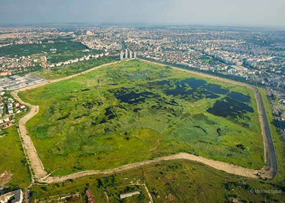 Descoperă România! 13 lucruri despre Delta Văcăreşti