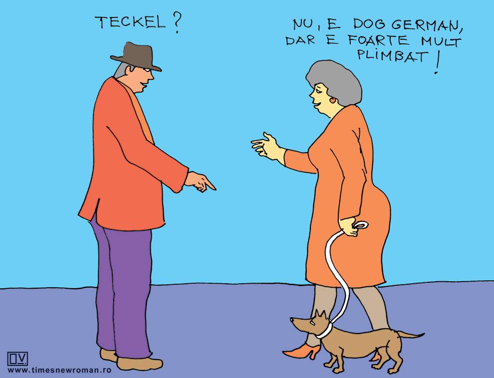 Dog german
